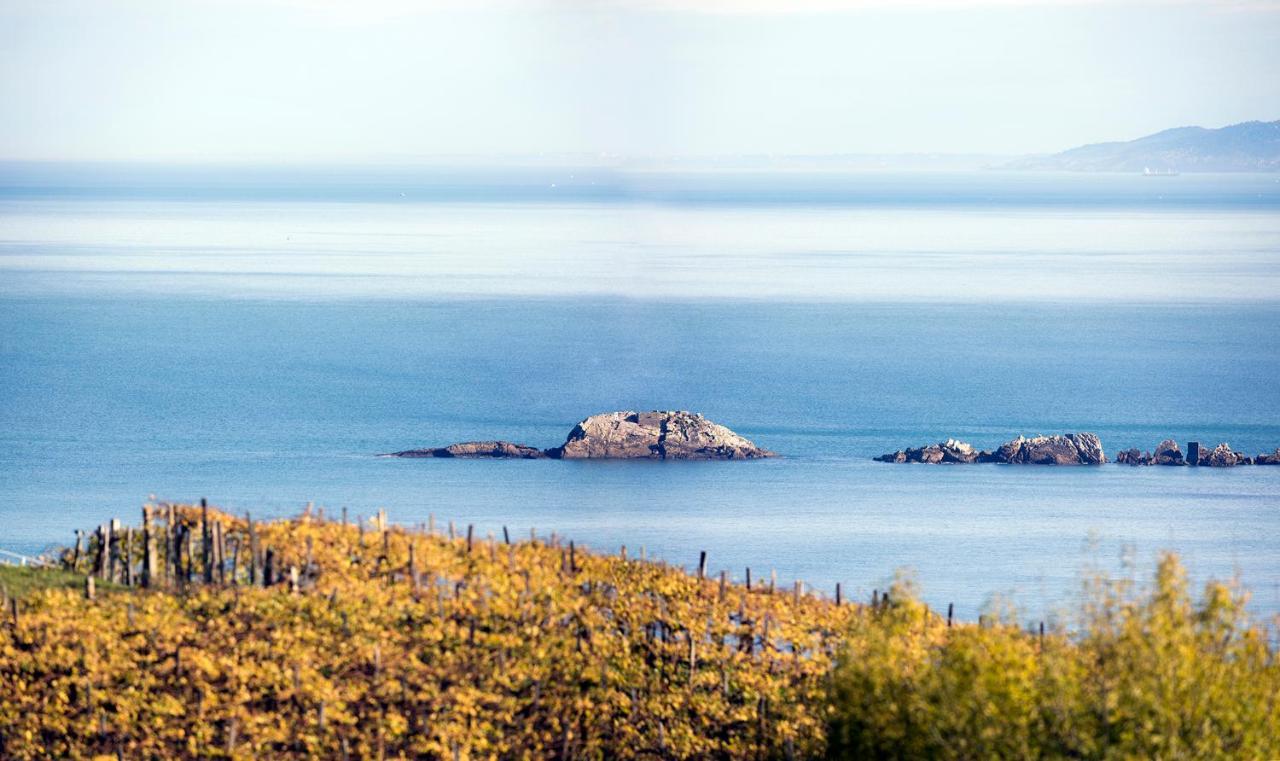 Aterian Euromar I Διαμέρισμα Zarautz Εξωτερικό φωτογραφία